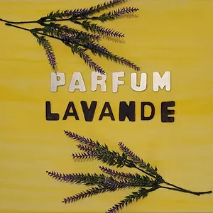 parfum-lavande.fr-provencehotel.com/